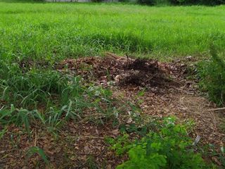 For sale land in Bang Phli, Samut Prakan