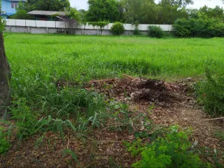 For sale land in Bang Phli, Samut Prakan