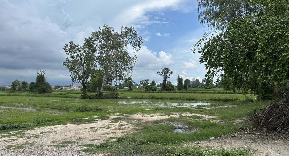 À vendre terrain à Bang Lamung, Chonburi