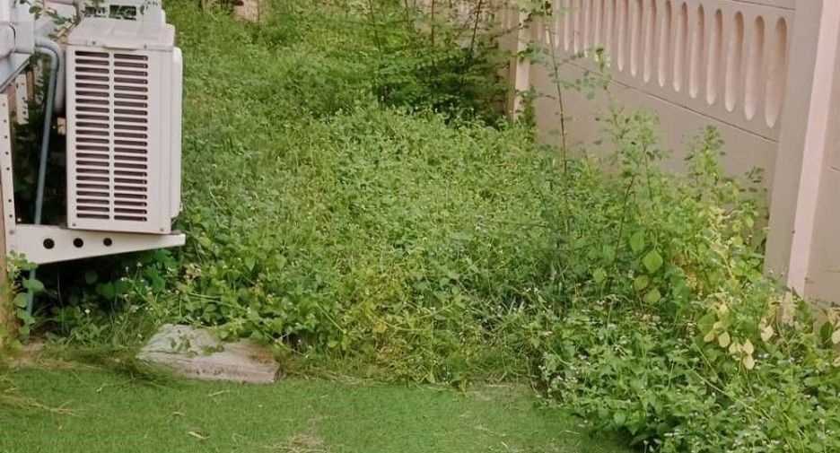 Casa en venta y en alquiler de 3 habitaciones en Bang Lamung, Chonburi