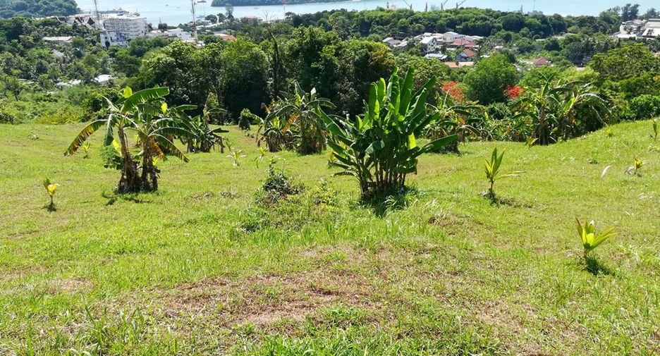 À vendre terrain à Mueang Phuket, Phuket