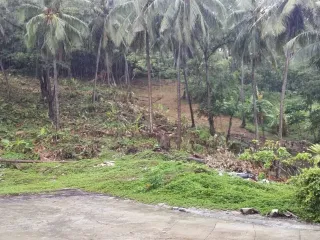 出售 土地 在 Phuket Town, 普吉