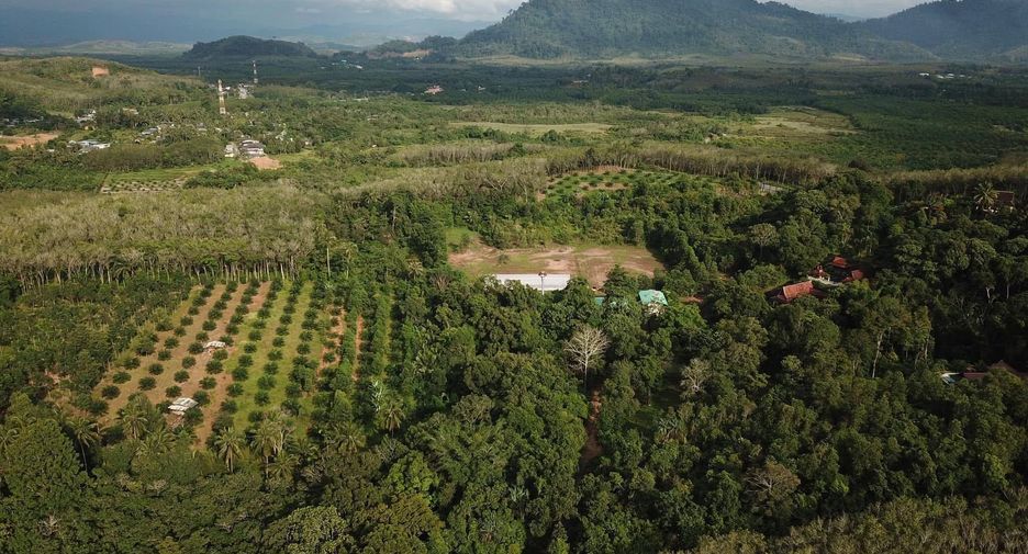 For sale land in Takua Pa, Phang Nga