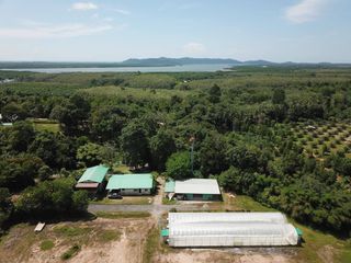 For sale land in Takua Pa, Phang Nga