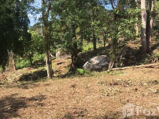 For sale land in Kathu, Phuket