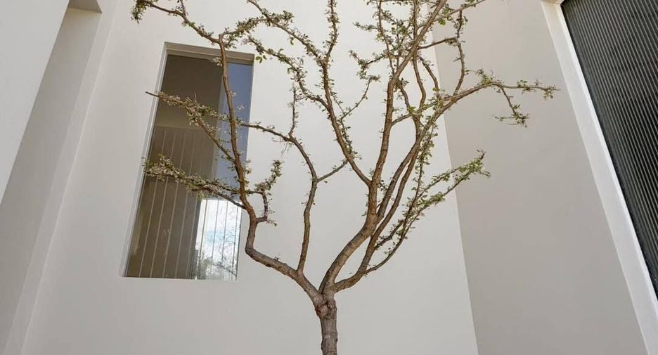 For sale and for rent 4 bedrooms house in Bang Khen, Bangkok