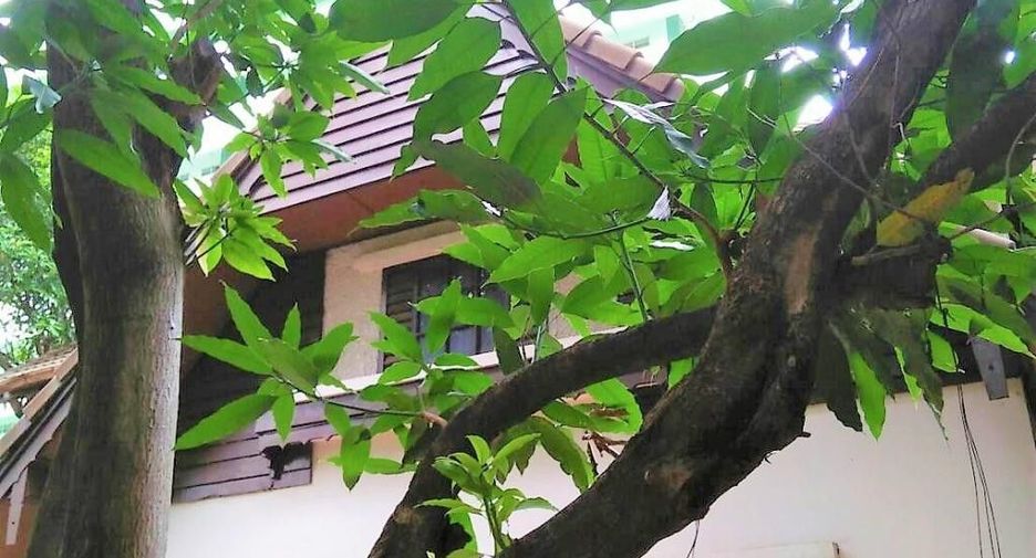 Haus zum Kauf mit 3 Zimmer in Bang Sue, Bangkok