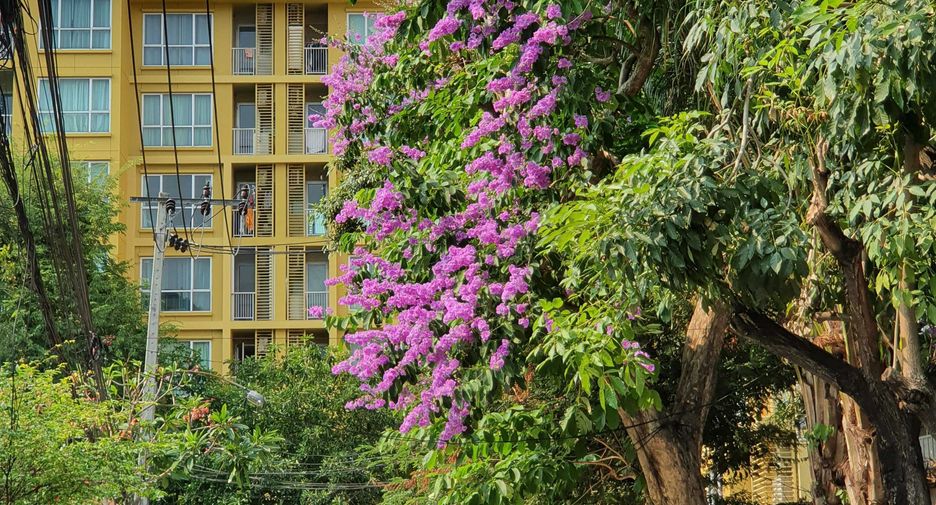 For rent studio condo in Watthana, Bangkok