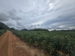 For sale land in Sattahip, Pattaya
