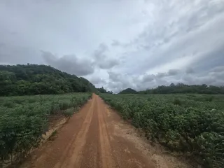 Продажа Участок в Саттахип, Чонбури
