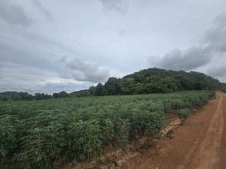 For sale land in Sattahip, Pattaya