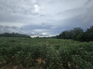 Terreno en venta en Sattahip, Chonburi