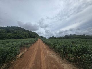 For sale land in Sattahip, Pattaya