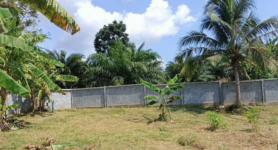 For sale 2 bedrooms house in Takua Thung, Phang Nga