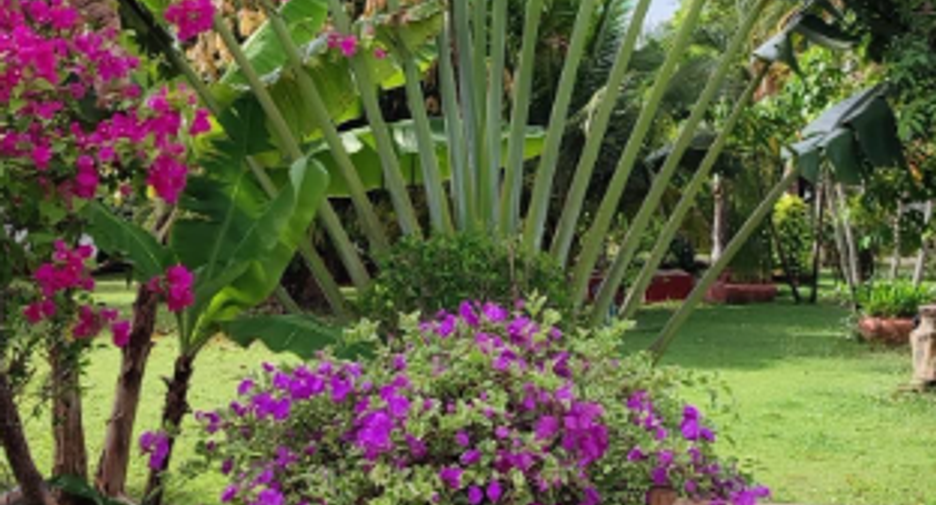 For sale 3 bedrooms house in Hua Hin, Prachuap Khiri Khan