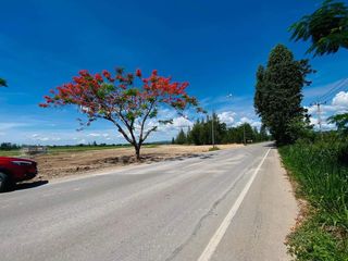 For sale land in Cha Am, Phetchaburi