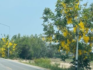 For sale land in Cha Am, Phetchaburi