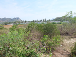 À vendre terrain à Sam Roi Yot, Prachuap Khiri Khan