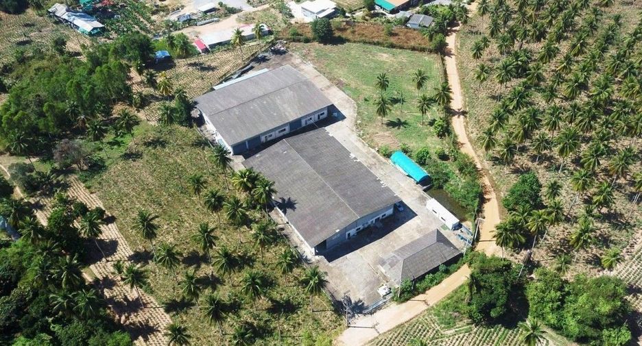 出售 和 出租 公寓 独立屋 在 Bang Lamung, Chon Buri