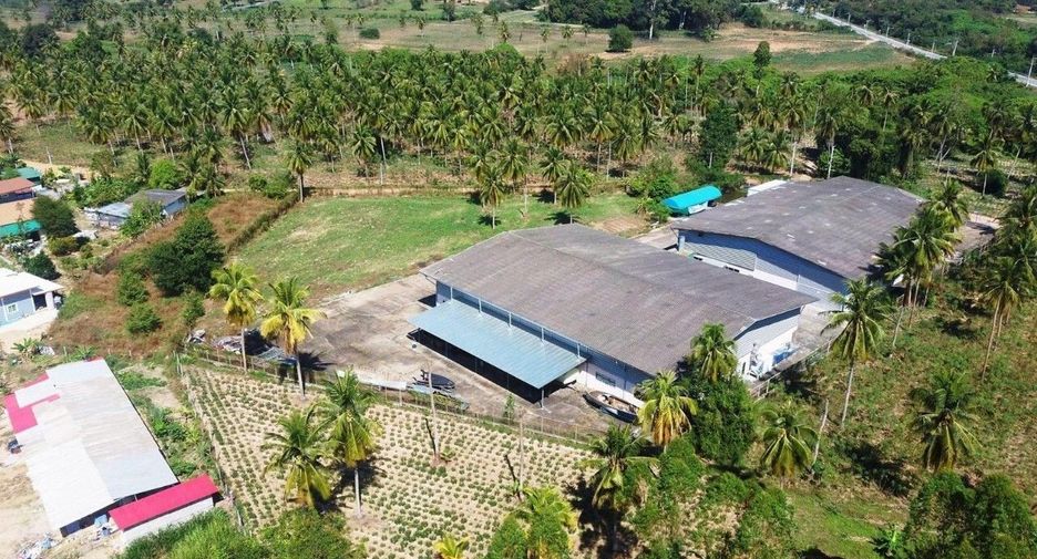出售 和 出租 公寓 独立屋 在 Bang Lamung, Chon Buri