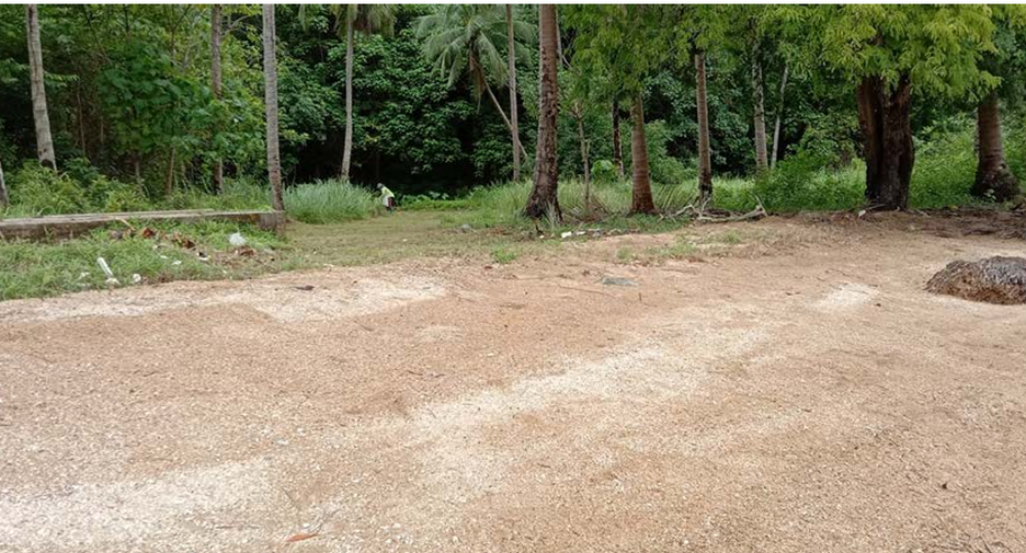 ขาย ที่ดิน ใน ถลาง, ภูเก็ต