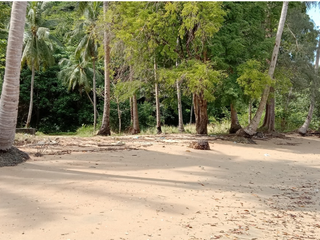 ขาย ที่ดิน ใน ถลาง, ภูเก็ต