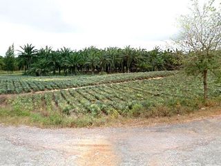 Terreno en venta en Sam Roi Yot, Prachuap Khiri Khan