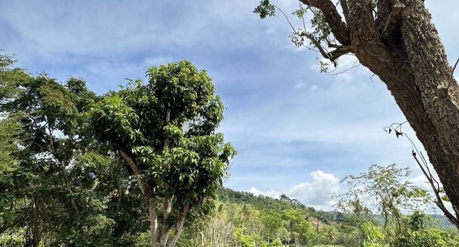 For sale 3 ベッドルーム house in Thalang, Phuket