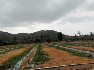 Grundstück zum Kauf in Pran Buri, Prachuap Khiri Khan