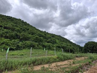 For sale land in Pran Buri, Prachuap Khiri Khan