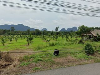 For sale land in Takua Thung, Phang Nga