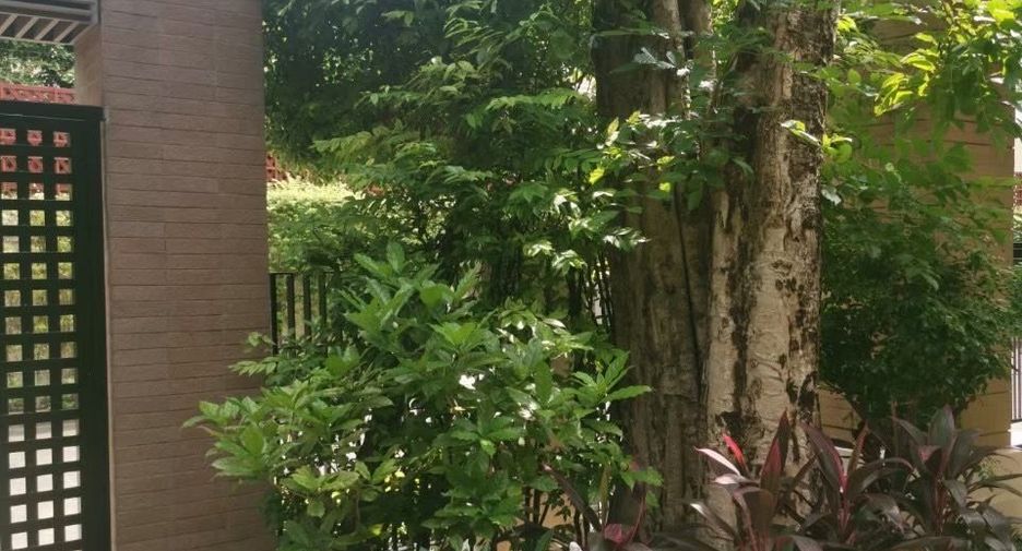 For rent 3 bedrooms house in Suan Luang, Bangkok