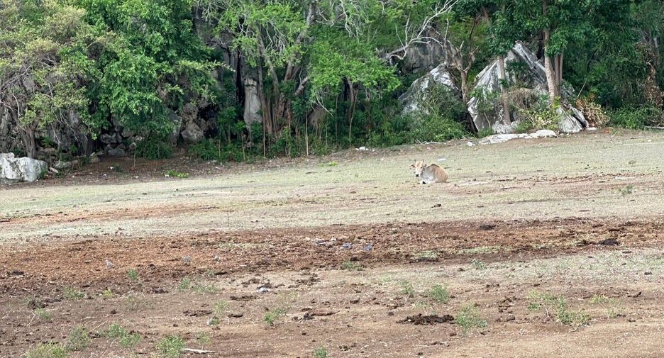 For sale land in Kui Buri, Prachuap Khiri Khan