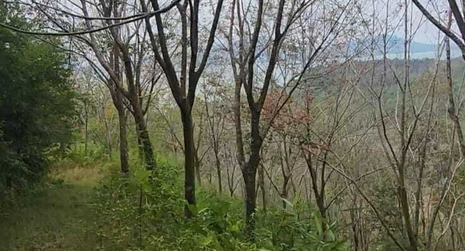 For sale land in Takua Thung, Phang Nga