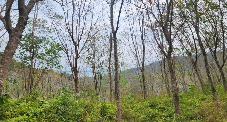 For sale land in Takua Thung, Phang Nga