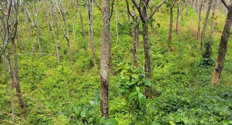 For sale land in Takua Thung, Phang Nga