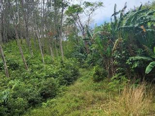 ขาย ที่ดิน ใน ตะกั่วทุ่ง, พังงา