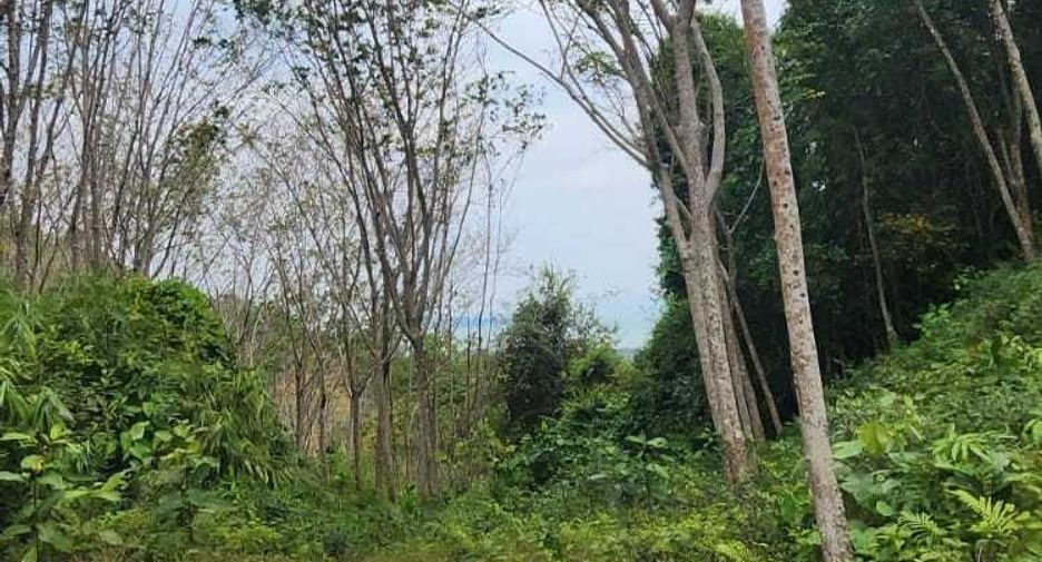 For sale land in Takua Thung, Phang Nga