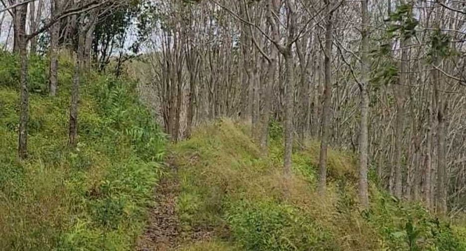 For sale land in Takua Thung, Phang Nga