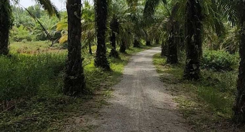 For sale land in Takua Thung, Phang Nga