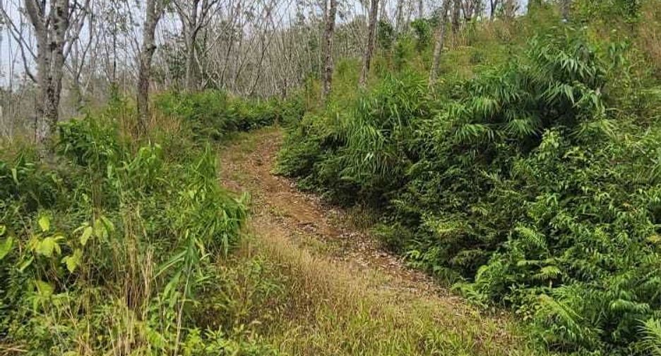 For sale land in Takua Thung, Phang Nga