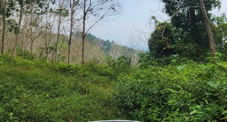 For sale land in Takua Thung, Phang Nga