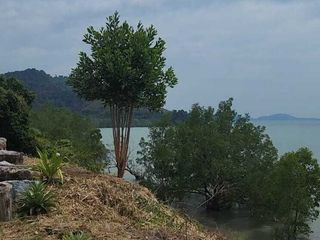 ขาย ที่ดิน ใน ตะกั่วทุ่ง, พังงา
