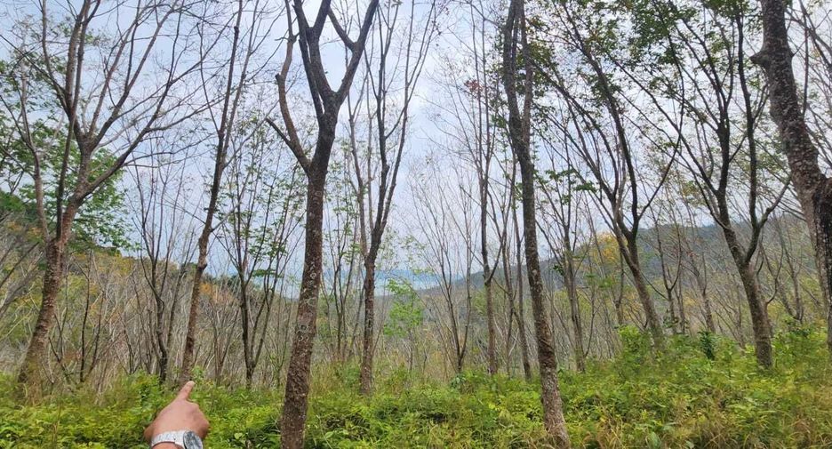 For sale land in Takua Thung, Phang Nga