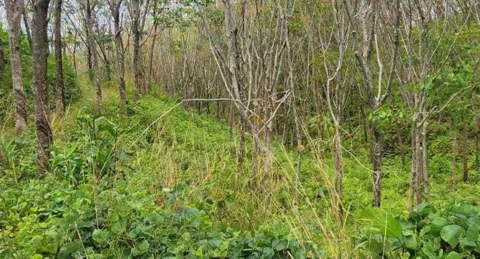 For sale land in Takua Thung, Phang Nga