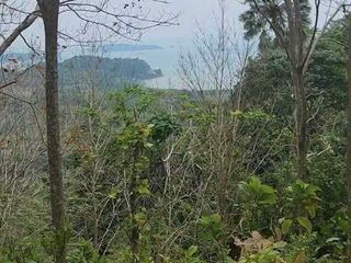 ขาย ที่ดิน ใน ตะกั่วทุ่ง, พังงา