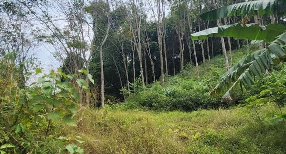 For sale land in Takua Thung, Phang Nga