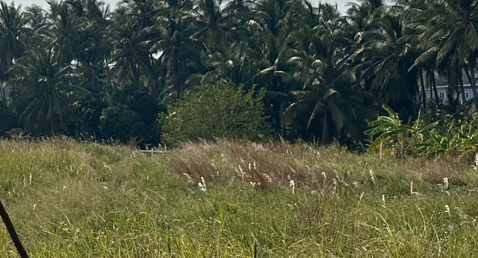 For sale land in Pran Buri, Prachuap Khiri Khan