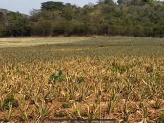 Grundstück zum Kauf in Pran Buri, Prachuap Khiri Khan