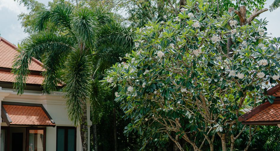 Villa zum Kauf und zur Miete mit 5 Zimmer in Thalang, Phuket